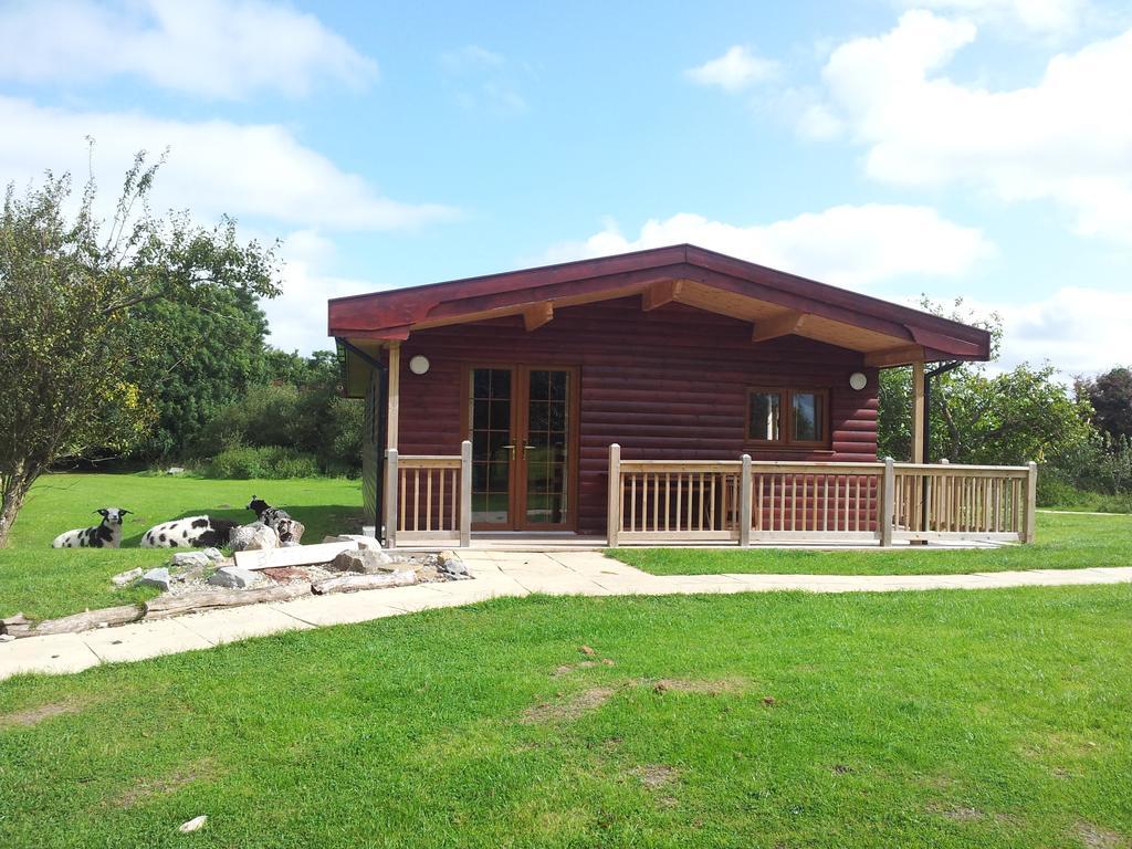 Wall Eden Farm - Luxury Log Cabins And Glamping 海布里奇 客房 照片